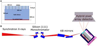 Probing Stress States in Silicon Nanowires During Electrochemical Lithiation Using In Situ Synchrotron X-Ray Microdiffraction